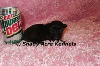 processed/30b5037a-b38c-496a-bcaa-7b1ee2f2b3da/listing/06dea6c9-6885-4088-a32c-0a4e2f054d86/5d88e0bb-53eb-461e-b7b9-06d9311a7498