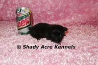 processed/30b5037a-b38c-496a-bcaa-7b1ee2f2b3da/listing/06dea6c9-6885-4088-a32c-0a4e2f054d86/837a8676-8675-43af-95f6-2d34e6bf0a46