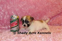 processed/30b5037a-b38c-496a-bcaa-7b1ee2f2b3da/listing/08b0382d-2d9e-43de-95e4-7d9701854acd/06ff792d-500b-4e58-8458-29dffbd9dddf