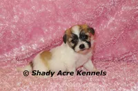 processed/30b5037a-b38c-496a-bcaa-7b1ee2f2b3da/listing/08b0382d-2d9e-43de-95e4-7d9701854acd/307ece9e-9d6e-42f9-bfd0-238d9ec19972