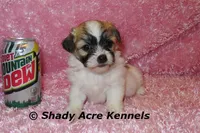 processed/30b5037a-b38c-496a-bcaa-7b1ee2f2b3da/listing/08b0382d-2d9e-43de-95e4-7d9701854acd/4091c0e3-0ea0-4beb-9730-653963c3e672