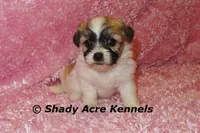 processed/30b5037a-b38c-496a-bcaa-7b1ee2f2b3da/listing/08b0382d-2d9e-43de-95e4-7d9701854acd/bc1762c7-f71d-4956-b178-c86baad20d4a