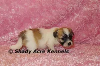 processed/30b5037a-b38c-496a-bcaa-7b1ee2f2b3da/listing/08b0382d-2d9e-43de-95e4-7d9701854acd/c8ec7e8a-9ad2-4766-aecc-b3cba581a18e