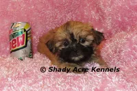 processed/30b5037a-b38c-496a-bcaa-7b1ee2f2b3da/listing/12a17916-4897-4267-a248-d77db98362bf/181ddbbe-f676-436b-bf11-98b2fbad8426