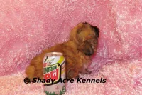 processed/30b5037a-b38c-496a-bcaa-7b1ee2f2b3da/listing/12a17916-4897-4267-a248-d77db98362bf/1931d0f0-c808-4617-90ec-ba6028c878c1