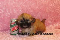 processed/30b5037a-b38c-496a-bcaa-7b1ee2f2b3da/listing/12a17916-4897-4267-a248-d77db98362bf/4176df0c-d316-47d4-9bb9-0e71e4f2b41a