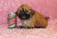 processed/30b5037a-b38c-496a-bcaa-7b1ee2f2b3da/listing/12a17916-4897-4267-a248-d77db98362bf/4e12bc1f-8597-4c3d-85fd-59e6200e55d1