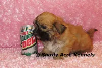 processed/30b5037a-b38c-496a-bcaa-7b1ee2f2b3da/listing/12a17916-4897-4267-a248-d77db98362bf/6c59432b-23ce-4f7e-b2b5-691417d07459