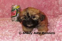 processed/30b5037a-b38c-496a-bcaa-7b1ee2f2b3da/listing/12a17916-4897-4267-a248-d77db98362bf/c3d0e68e-2f55-4896-9263-4203aaa4fc7d