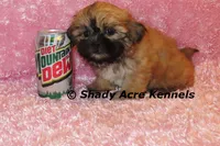 processed/30b5037a-b38c-496a-bcaa-7b1ee2f2b3da/listing/12a17916-4897-4267-a248-d77db98362bf/d094faaf-2029-4f9d-994f-0d74122f1ca9