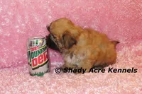 processed/30b5037a-b38c-496a-bcaa-7b1ee2f2b3da/listing/12a17916-4897-4267-a248-d77db98362bf/d23d8e1b-59db-4f01-8896-8155ad804eb0