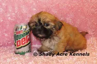 processed/30b5037a-b38c-496a-bcaa-7b1ee2f2b3da/listing/12a17916-4897-4267-a248-d77db98362bf/d62e8a37-f366-4ceb-adc4-ad15af383f90