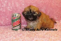 processed/30b5037a-b38c-496a-bcaa-7b1ee2f2b3da/listing/12a17916-4897-4267-a248-d77db98362bf/ea51c3f1-02f7-4897-b445-f7143af634d7