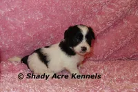 processed/30b5037a-b38c-496a-bcaa-7b1ee2f2b3da/listing/3de6da61-d4cb-444b-b308-ec1cdc67bf34/0ce814ee-560a-4d4a-8b96-94c1aca1a365