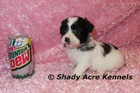 processed/30b5037a-b38c-496a-bcaa-7b1ee2f2b3da/listing/3de6da61-d4cb-444b-b308-ec1cdc67bf34/0f63dd01-a114-4180-bb21-d434b220c5f5