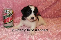 processed/30b5037a-b38c-496a-bcaa-7b1ee2f2b3da/listing/3de6da61-d4cb-444b-b308-ec1cdc67bf34/2bc40d94-f5be-48b5-aeed-4f7ab6befaa2