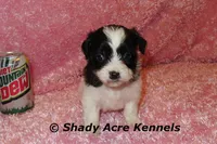 processed/30b5037a-b38c-496a-bcaa-7b1ee2f2b3da/listing/3de6da61-d4cb-444b-b308-ec1cdc67bf34/80e442d4-7138-455c-84af-b2bfffc92b20