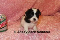 processed/30b5037a-b38c-496a-bcaa-7b1ee2f2b3da/listing/3de6da61-d4cb-444b-b308-ec1cdc67bf34/d7b6aef1-a54d-4f7b-8e96-7031dca77fcd