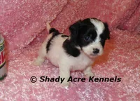 processed/30b5037a-b38c-496a-bcaa-7b1ee2f2b3da/listing/3de6da61-d4cb-444b-b308-ec1cdc67bf34/fa74f49b-ed2e-4a7e-996a-b67c92668186