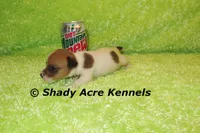 processed/30b5037a-b38c-496a-bcaa-7b1ee2f2b3da/listing/51883bc3-4f30-4942-a7f3-2f4e55469489/4ace52b0-bc5f-43e4-86c6-2b373176bf1a