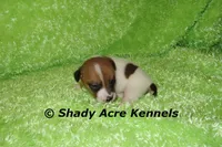 processed/30b5037a-b38c-496a-bcaa-7b1ee2f2b3da/listing/51883bc3-4f30-4942-a7f3-2f4e55469489/6beab482-9487-4148-9eef-12d46bd5be22