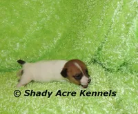 processed/30b5037a-b38c-496a-bcaa-7b1ee2f2b3da/listing/51883bc3-4f30-4942-a7f3-2f4e55469489/cd0e7360-9c58-4694-81ad-60e9a3eac8b3