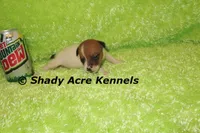 processed/30b5037a-b38c-496a-bcaa-7b1ee2f2b3da/listing/51883bc3-4f30-4942-a7f3-2f4e55469489/d4ec61b1-4c90-4dda-af9c-fa2579d5ce9f