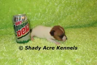 processed/30b5037a-b38c-496a-bcaa-7b1ee2f2b3da/listing/51883bc3-4f30-4942-a7f3-2f4e55469489/dfa112c1-0aa2-42c7-a677-291dbc2ad80e