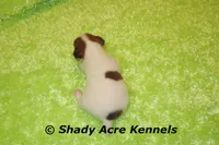 processed/30b5037a-b38c-496a-bcaa-7b1ee2f2b3da/listing/543dc57e-f11b-4a06-9f15-f94995c55964/05960419-bed8-4d5e-9a02-935d94ac2c3f