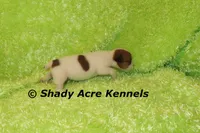 processed/30b5037a-b38c-496a-bcaa-7b1ee2f2b3da/listing/543dc57e-f11b-4a06-9f15-f94995c55964/96ac4a2c-ee7b-4500-9158-9f994272f8c2