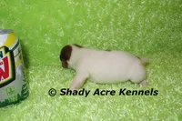 processed/30b5037a-b38c-496a-bcaa-7b1ee2f2b3da/listing/543dc57e-f11b-4a06-9f15-f94995c55964/9d2ea036-df5b-47e2-b7db-dc94ccdda2e6