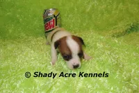 processed/30b5037a-b38c-496a-bcaa-7b1ee2f2b3da/listing/543dc57e-f11b-4a06-9f15-f94995c55964/c2608d90-4972-4b85-b8ac-f9056621f0e3