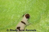 processed/30b5037a-b38c-496a-bcaa-7b1ee2f2b3da/listing/543dc57e-f11b-4a06-9f15-f94995c55964/c273b046-253c-4d83-b215-241badb8359d