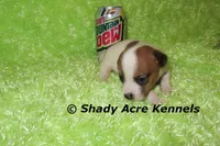 processed/30b5037a-b38c-496a-bcaa-7b1ee2f2b3da/listing/543dc57e-f11b-4a06-9f15-f94995c55964/d10e3b00-a04c-40f7-b887-84398aa926f4