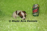 processed/30b5037a-b38c-496a-bcaa-7b1ee2f2b3da/listing/543dc57e-f11b-4a06-9f15-f94995c55964/e452d700-9701-41f5-802c-44e307d73270