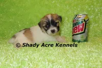 processed/30b5037a-b38c-496a-bcaa-7b1ee2f2b3da/listing/60f99345-5681-4d1b-a0b2-249ab4bb27d4/1b5c42a4-f026-4ac1-bd01-9c31d1ffa829