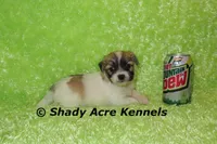 processed/30b5037a-b38c-496a-bcaa-7b1ee2f2b3da/listing/60f99345-5681-4d1b-a0b2-249ab4bb27d4/4b53dba0-1fbf-4ff7-b981-f8c1812e43df