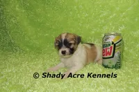 processed/30b5037a-b38c-496a-bcaa-7b1ee2f2b3da/listing/60f99345-5681-4d1b-a0b2-249ab4bb27d4/a2dea912-9be0-4ed8-9756-f40a96ab86c0