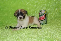 processed/30b5037a-b38c-496a-bcaa-7b1ee2f2b3da/listing/60f99345-5681-4d1b-a0b2-249ab4bb27d4/a6c5f730-c6ba-4b6e-b5af-58600e8edd35