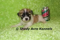 processed/30b5037a-b38c-496a-bcaa-7b1ee2f2b3da/listing/60f99345-5681-4d1b-a0b2-249ab4bb27d4/a793c9e0-a44d-4689-a733-d6d1c484c84a