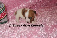 processed/30b5037a-b38c-496a-bcaa-7b1ee2f2b3da/listing/6d7ceba0-ece6-4453-967e-fe9d1e49e1b6/0fafb06b-56c8-452f-8d0f-21e776c581fd