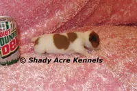 processed/30b5037a-b38c-496a-bcaa-7b1ee2f2b3da/listing/6d7ceba0-ece6-4453-967e-fe9d1e49e1b6/4d8bbbed-d7ba-4188-afff-24baca6fd35d