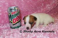 processed/30b5037a-b38c-496a-bcaa-7b1ee2f2b3da/listing/6d7ceba0-ece6-4453-967e-fe9d1e49e1b6/70325f03-7d0e-4aa0-b6a9-3c3e4982f31b