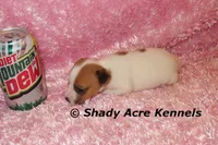 processed/30b5037a-b38c-496a-bcaa-7b1ee2f2b3da/listing/6d7ceba0-ece6-4453-967e-fe9d1e49e1b6/9cbf5eb6-e444-4004-a2b5-2f47a9a662a2