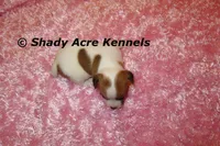 processed/30b5037a-b38c-496a-bcaa-7b1ee2f2b3da/listing/6d7ceba0-ece6-4453-967e-fe9d1e49e1b6/d5b2f5b3-18e8-4776-bb9b-b4c022e55c99