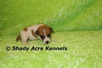 processed/30b5037a-b38c-496a-bcaa-7b1ee2f2b3da/listing/715db57d-75f0-4f8f-b029-6f7ca9c850db/16ac4916-ef23-4bb7-89b3-7c0aa1b3f399