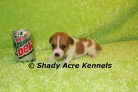 processed/30b5037a-b38c-496a-bcaa-7b1ee2f2b3da/listing/715db57d-75f0-4f8f-b029-6f7ca9c850db/1abd2370-f016-46d1-9858-b24ae1a80f85