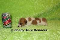 processed/30b5037a-b38c-496a-bcaa-7b1ee2f2b3da/listing/715db57d-75f0-4f8f-b029-6f7ca9c850db/2a98f4c2-3b74-4c92-bba8-0557ad919cc3