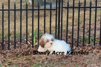 processed/30b5037a-b38c-496a-bcaa-7b1ee2f2b3da/listing/72c4c776-ed41-48c0-8c1d-5fbc89fc841b/3fa1699e-7384-46ef-b6f2-01d2ff385a48