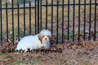 processed/30b5037a-b38c-496a-bcaa-7b1ee2f2b3da/listing/72c4c776-ed41-48c0-8c1d-5fbc89fc841b/4a9168e4-020e-4fc0-8083-0dc21eddcf5c